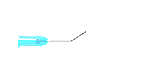 Capsule Polisher 23 Gauge Angled